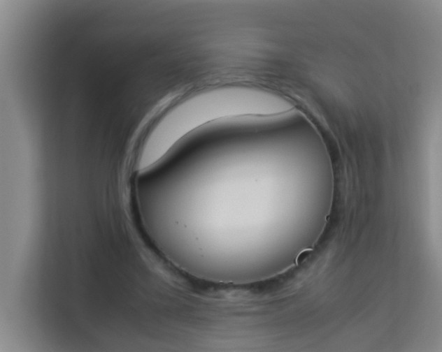 X0000113930395200910091606