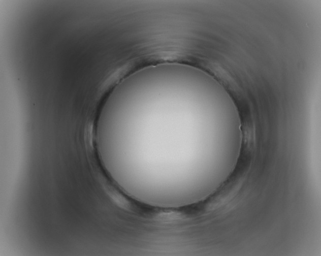 X0000113930397200910091606