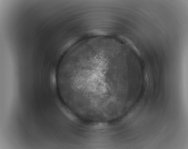 X0000113930398200910091606