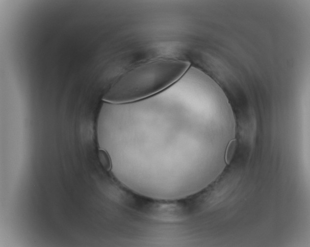 X0000113930401200910091606