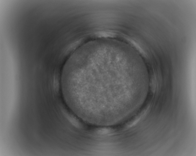 X0000113930402200910091606