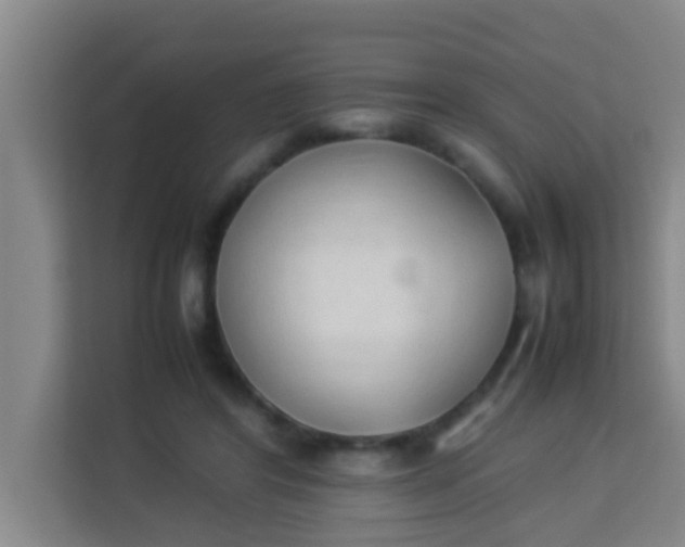 X0000113930404200910091606