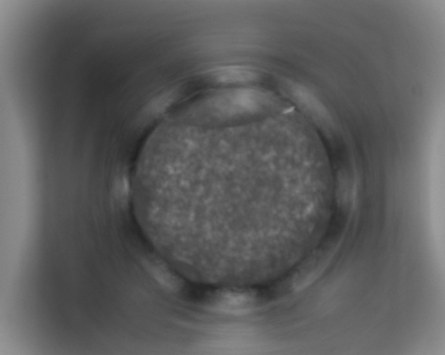 X0000113930405200910091606