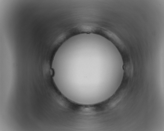 X0000113930407200910091606