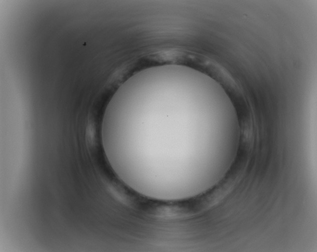 X0000113930408200910091606