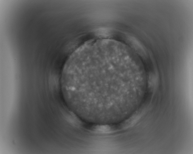 X0000113930409200910091606