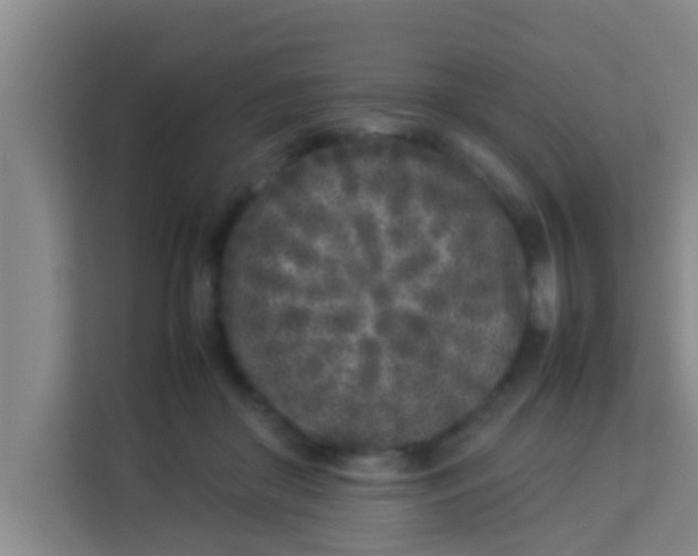 X0000113930410200910091606