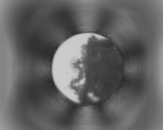 X0000113930411200910091606