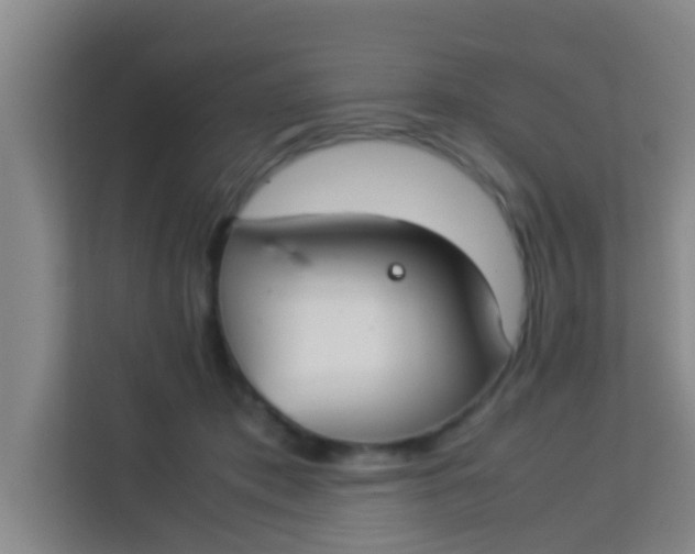 X0000113930413200910091606