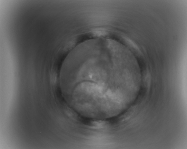 X0000113930417200910091606