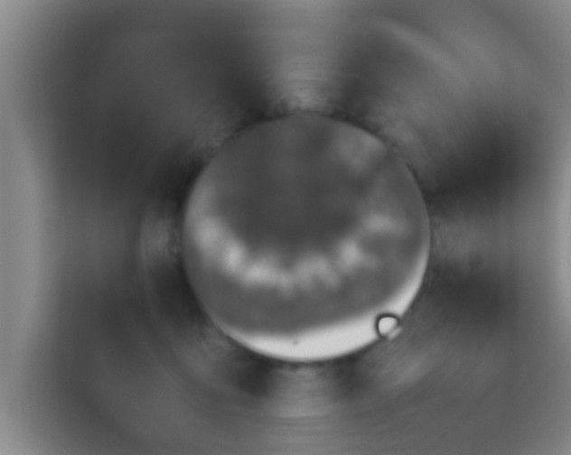 X0000113930419200910091606