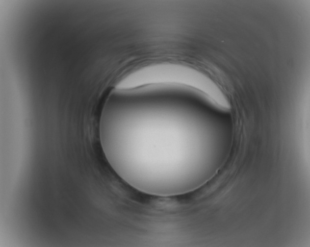 X0000113930421200910091606