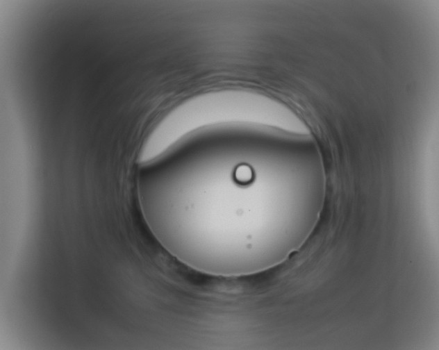 X0000113930423200910091606