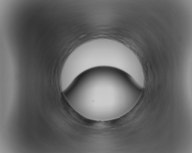 X0000113930425200910091606