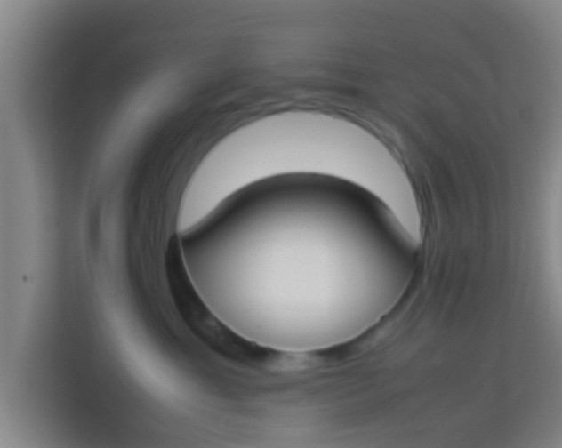 X0000113930429200910091606