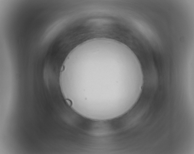 X0000113930431200910091606