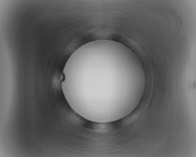 X0000113930432200910091606