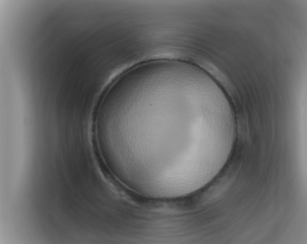 X0000113930434200910091605