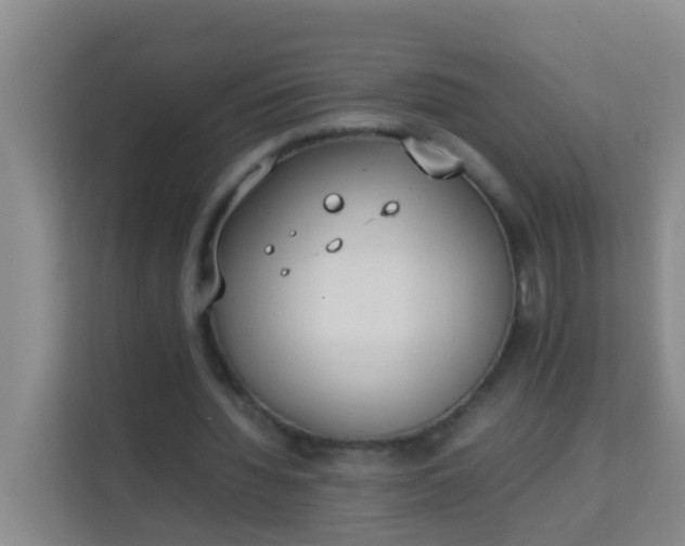 X0000113930436200910091605