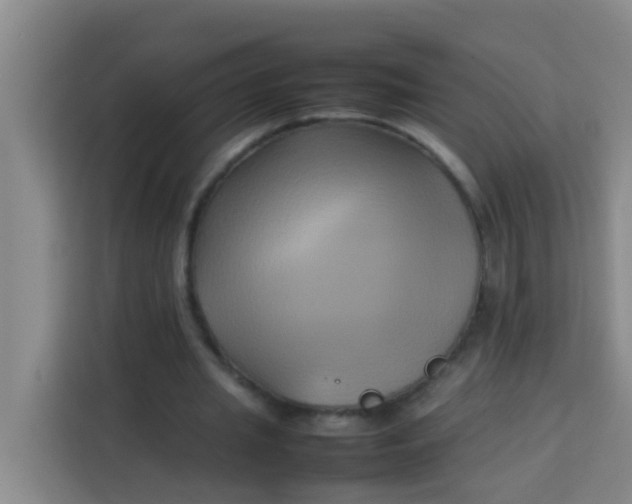 X0000113930437200910091605