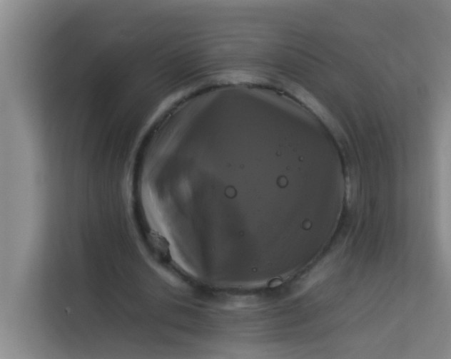 X0000113930438200910091605