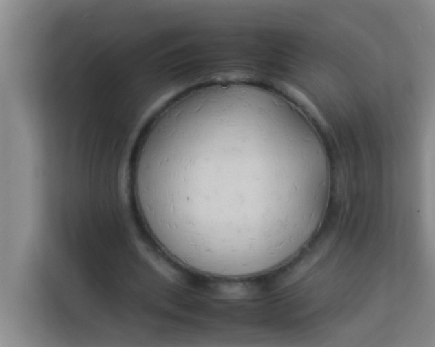 X0000113930439200910091605