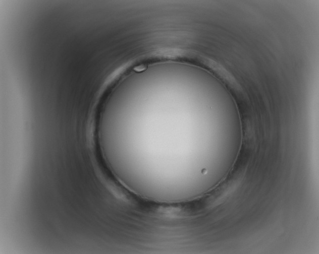 X0000113930440200910091605