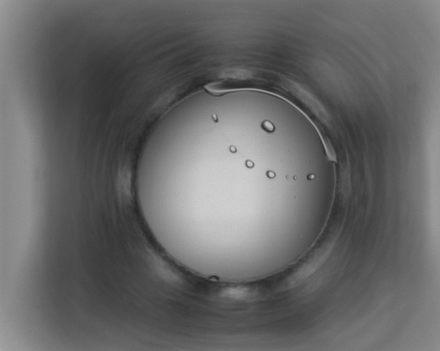 X0000113930441200910091605