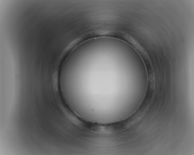 X0000113930442200910091605