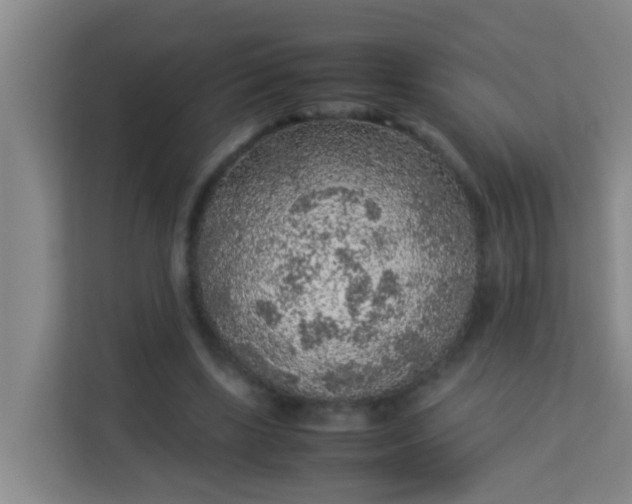 X0000113930443200910091605