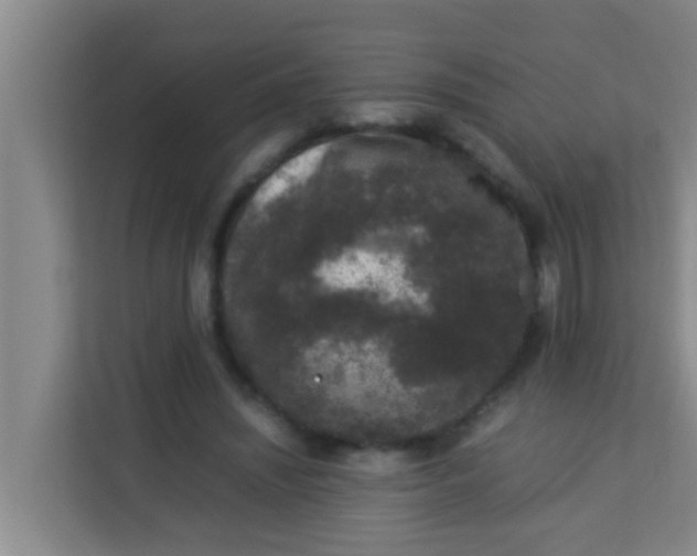 X0000113930444200910091605