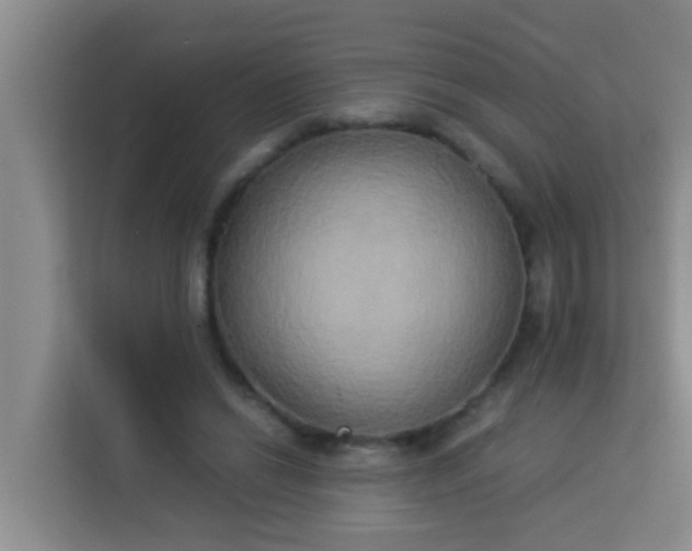 X0000113930446200910091605