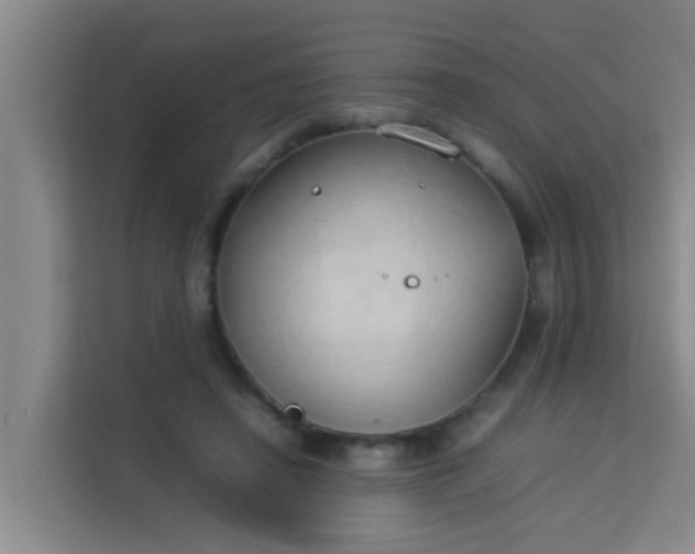 X0000113930450200910091605