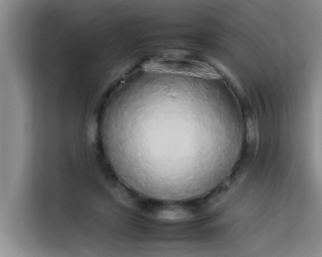 X0000113930451200910091606