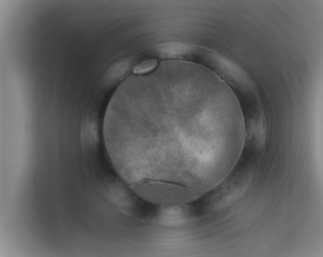 X0000113930452200910091606