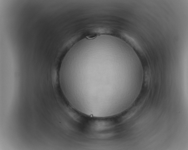 X0000113930453200910091606