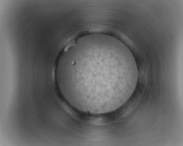 X0000113930454200910091606