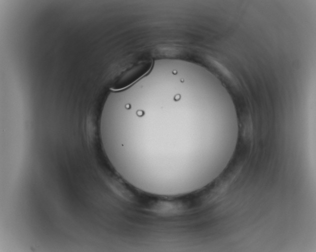 X0000113930455200910091606