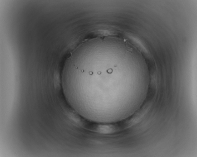 X0000113930457200910091606