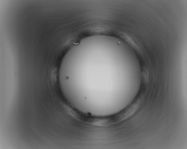 X0000113930458200910091606