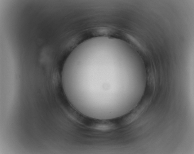 X0000113930459200910091606