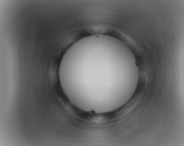 X0000113930460200910091606