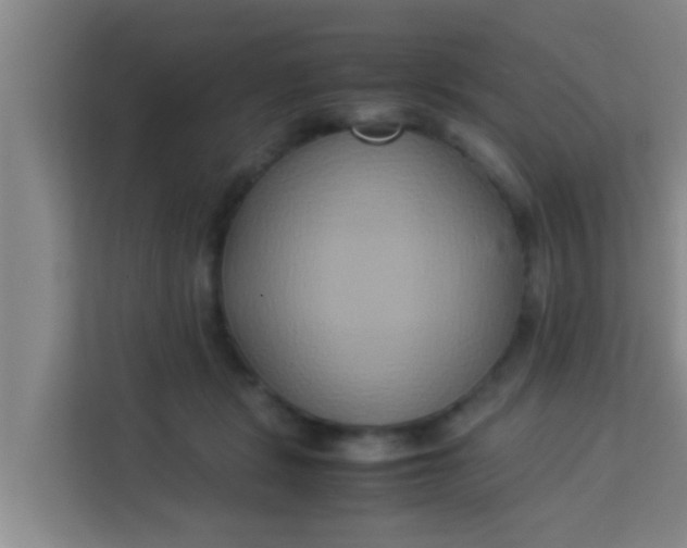 X0000113930461200910091606