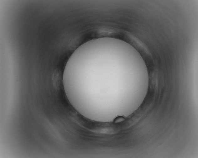 X0000113930463200910091606