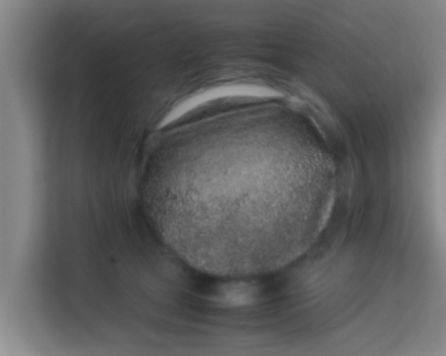 X0000113930465200910091606