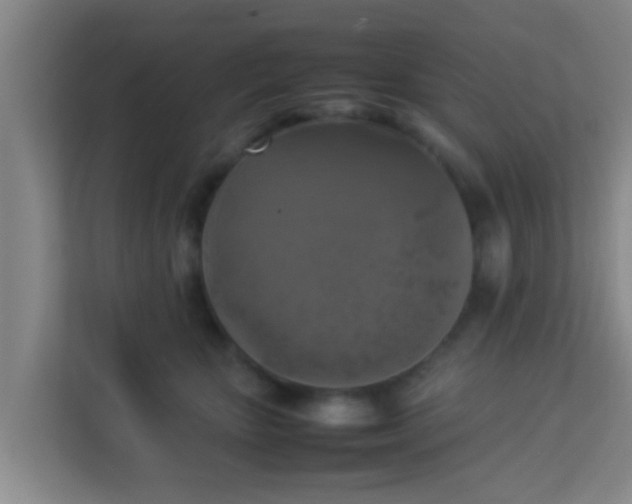 X0000113930467200910091606