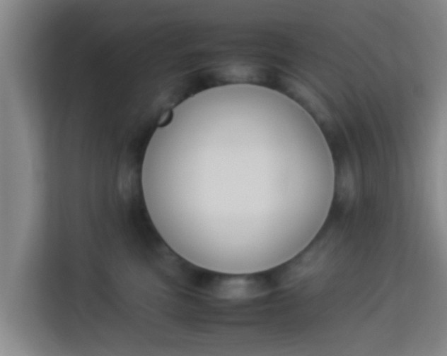 X0000113930473200910091606