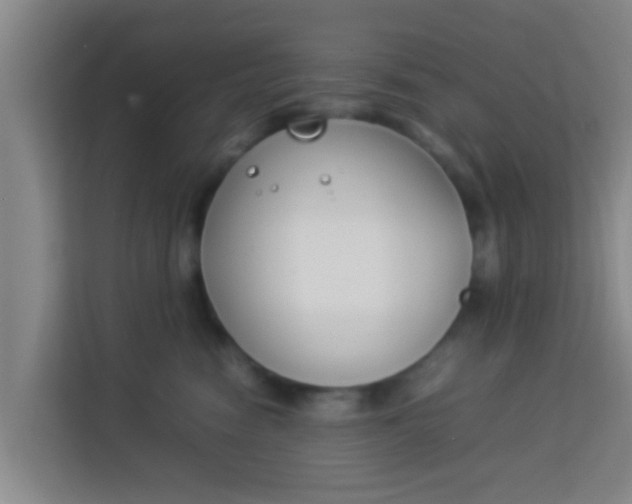 X0000113930474200910091606