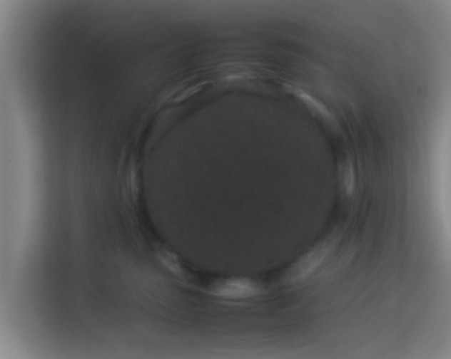 X0000113930475200910091606