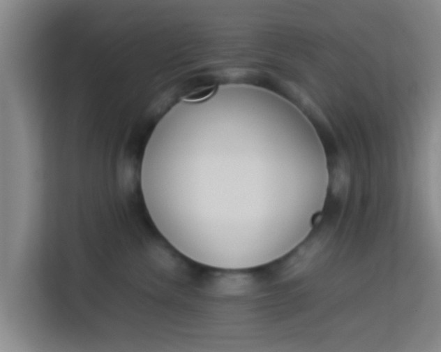 X0000113930476200910091606